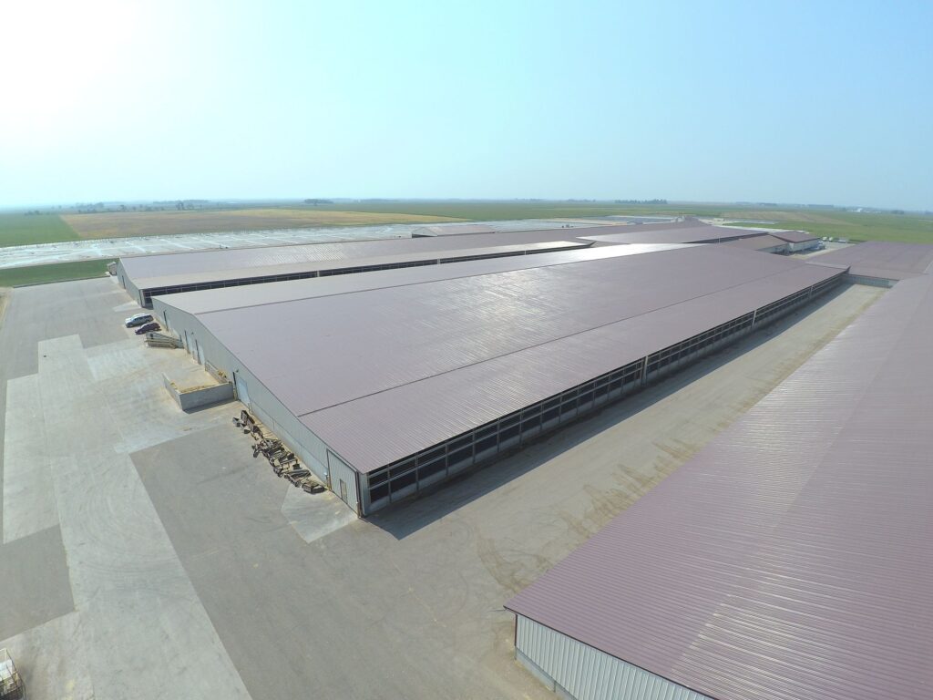 Commercial Steel Roofing