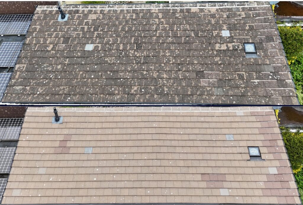 Tile Roof Cleaning
