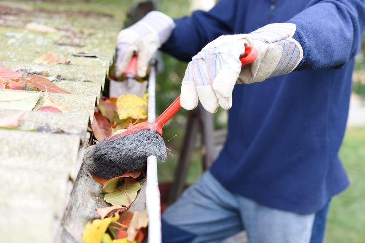 House Gutter Cleaning