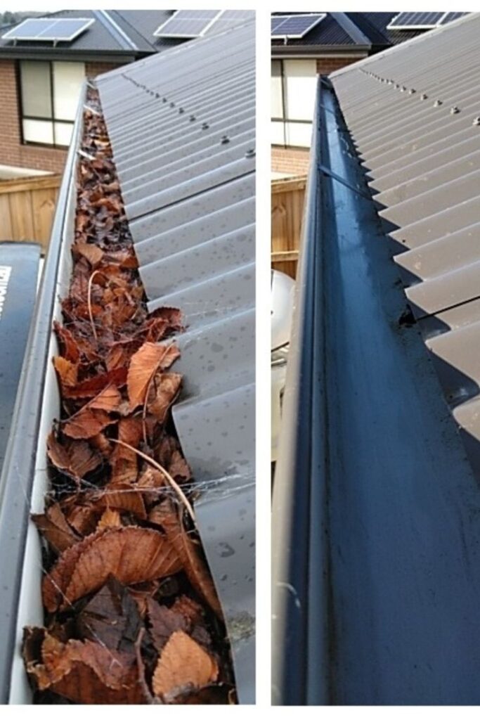 Rain Gutter Cleaning Service