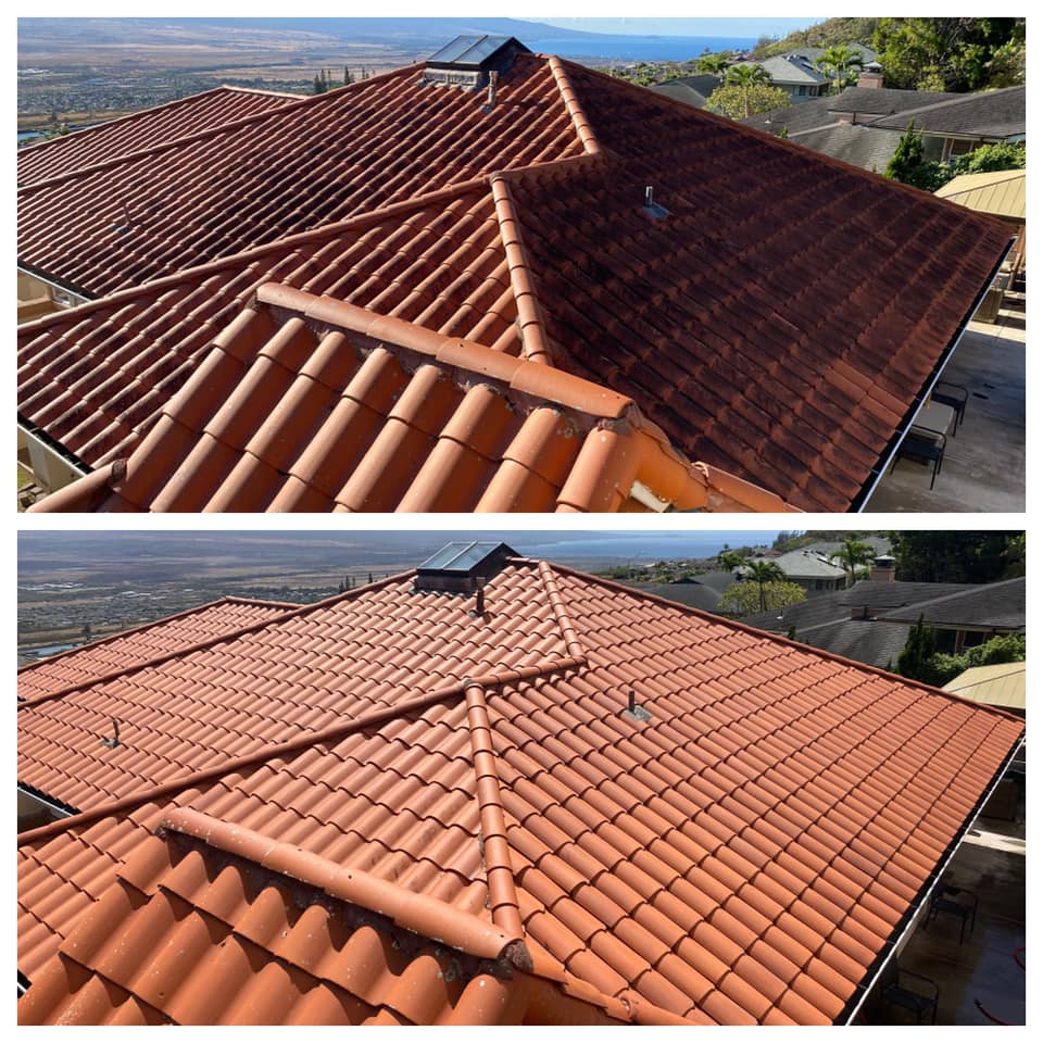Cleaning Cedar Shingles