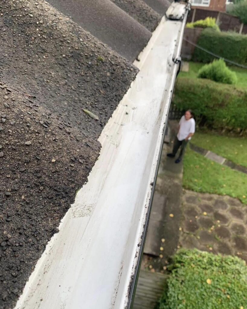 Gutter Inspection