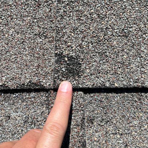 Storm Damage Inspection