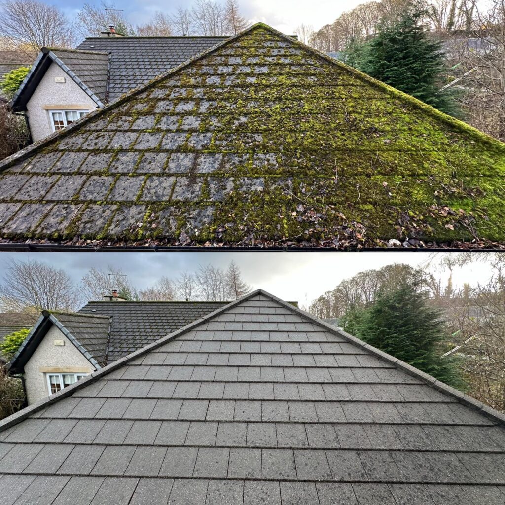 Moss Cleaning Service