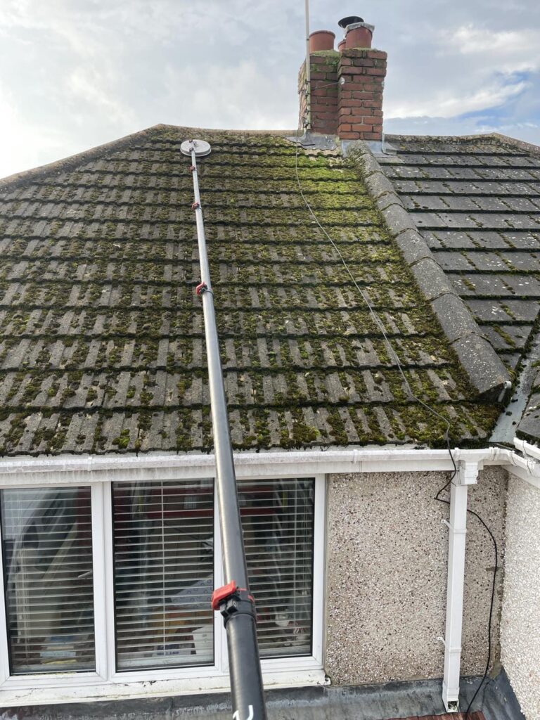 Roof Cleaning and Moss Removal