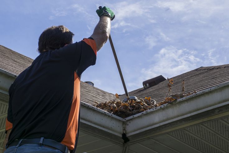 Roof Cleaning 2